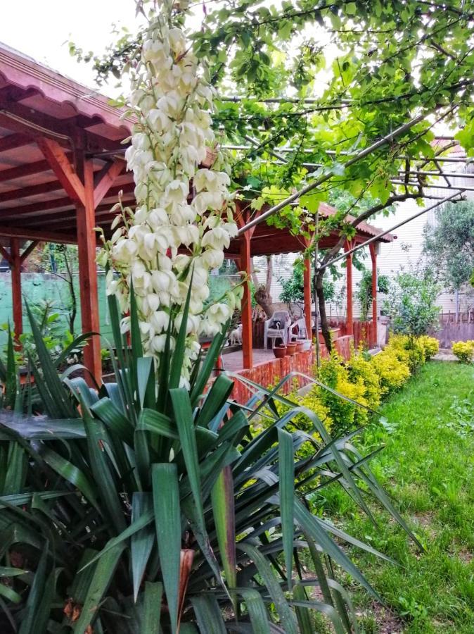 Kilic Motel Istanbul Bagian luar foto